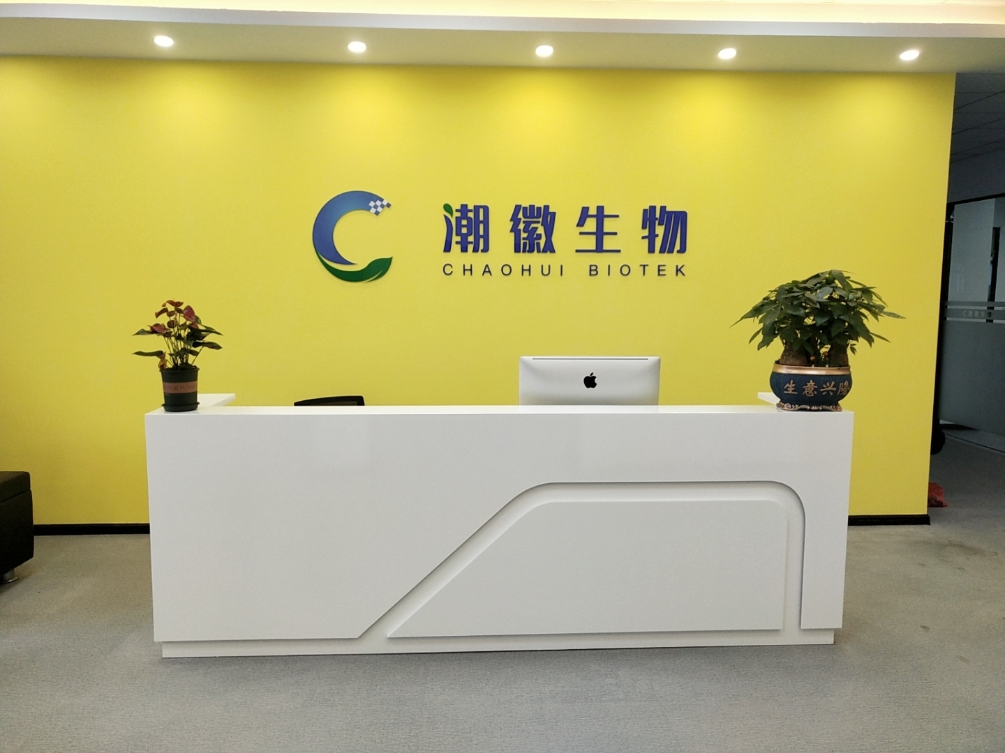 新利在线官网_新利（中国）
净化